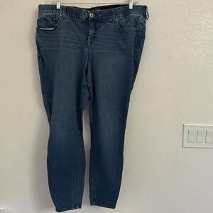 Torrid Premium Denim Jeans in Light Blue